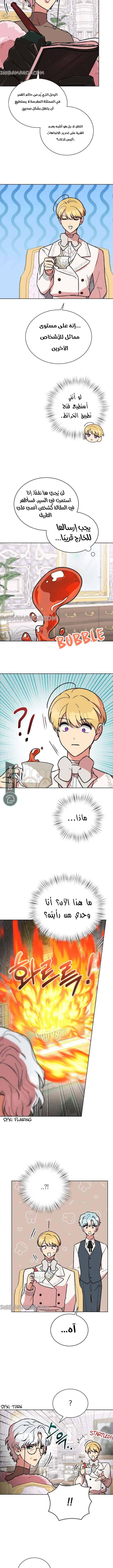 الصفحة 7