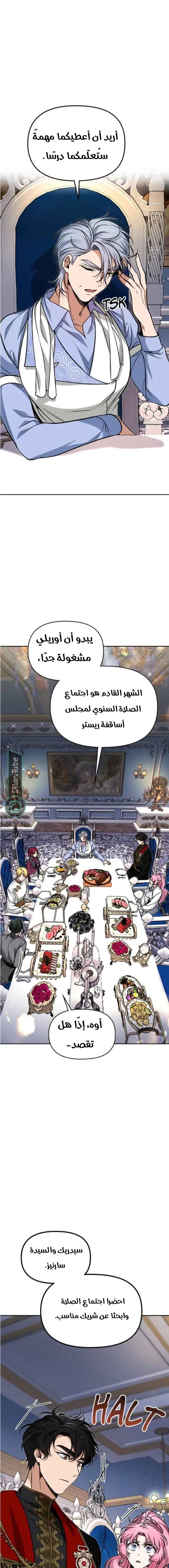 الصفحة 19