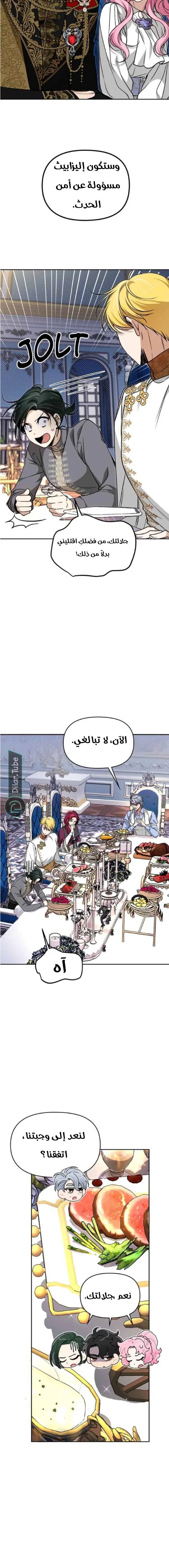 الصفحة 20
