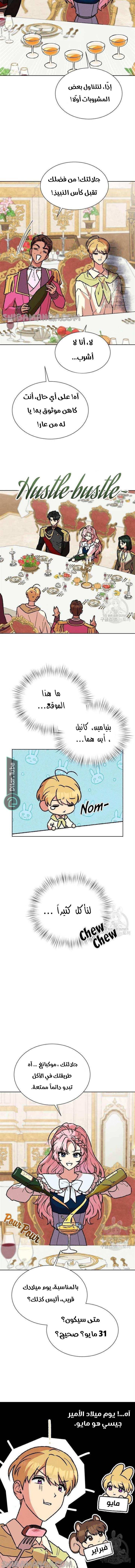 الصفحة 11
