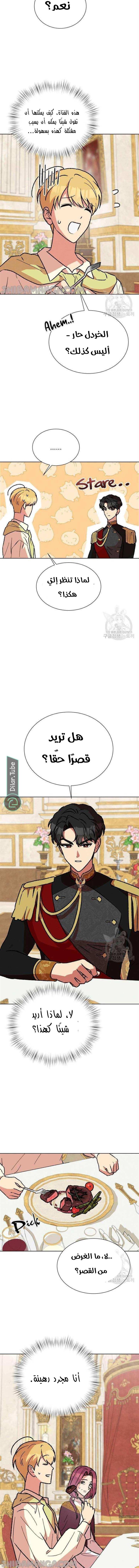الصفحة 13