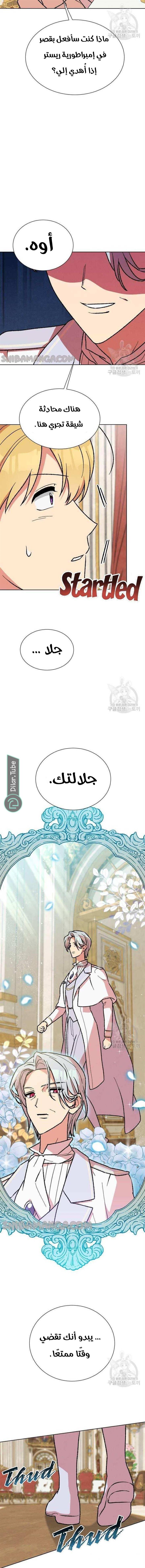 الصفحة 14