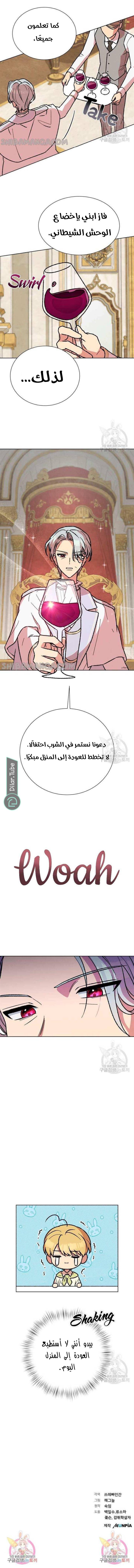الصفحة 15