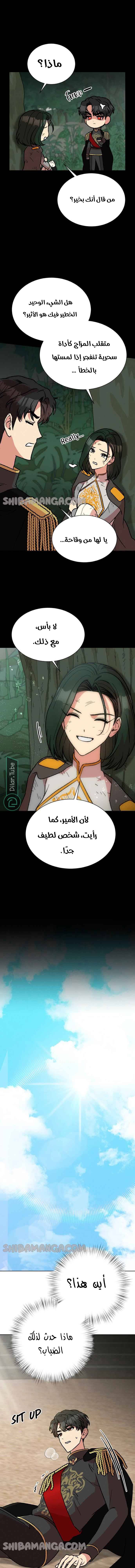 الصفحة 11
