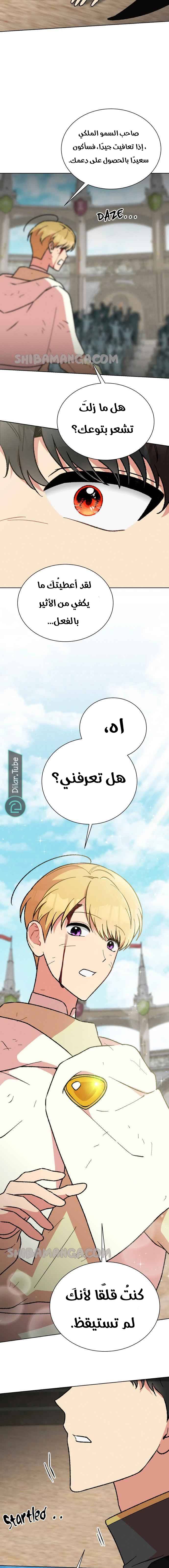 الصفحة 12