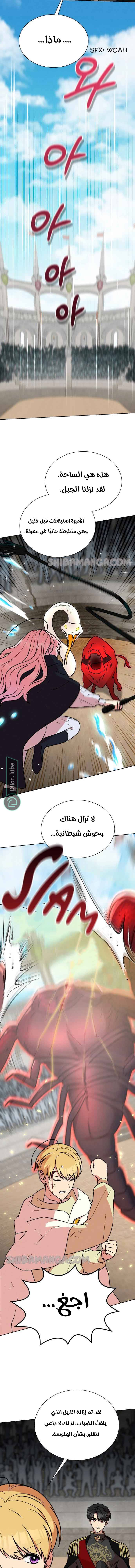 الصفحة 13