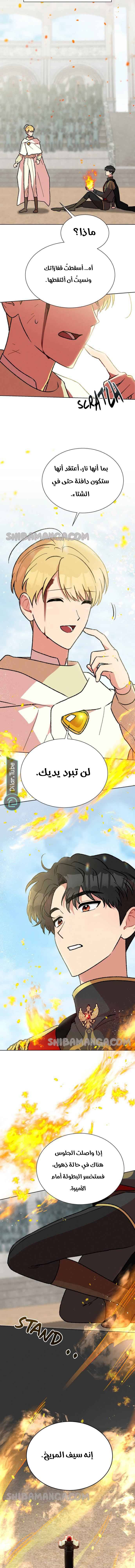 الصفحة 15