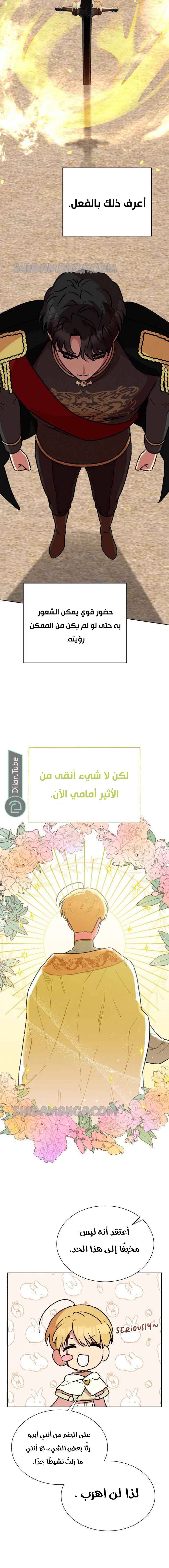الصفحة 16