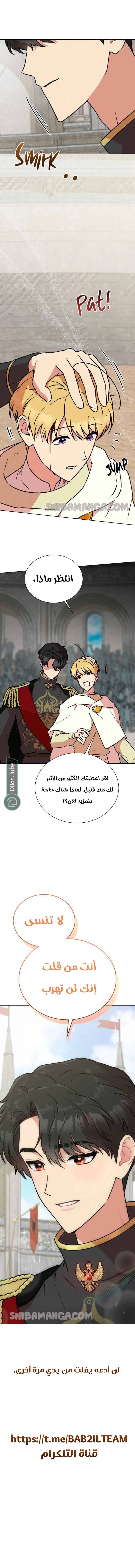 الصفحة 17