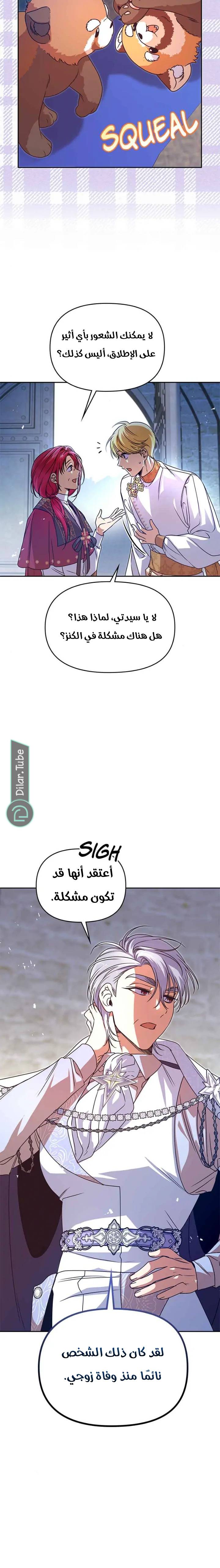 الصفحة 13
