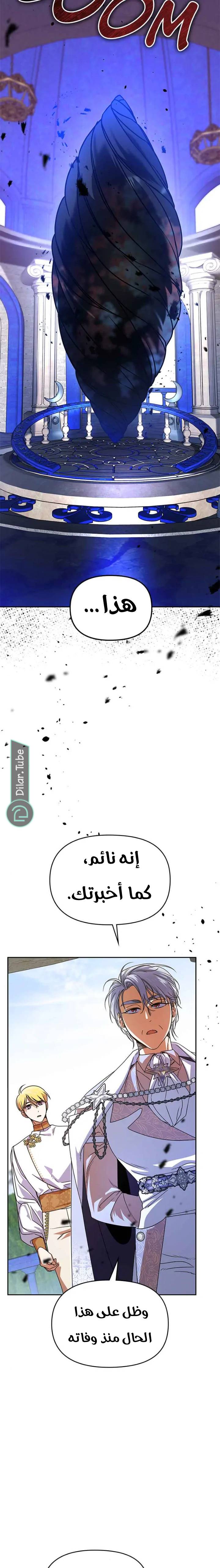 الصفحة 19