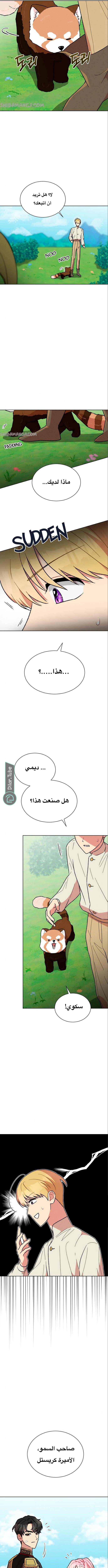 الصفحة 3