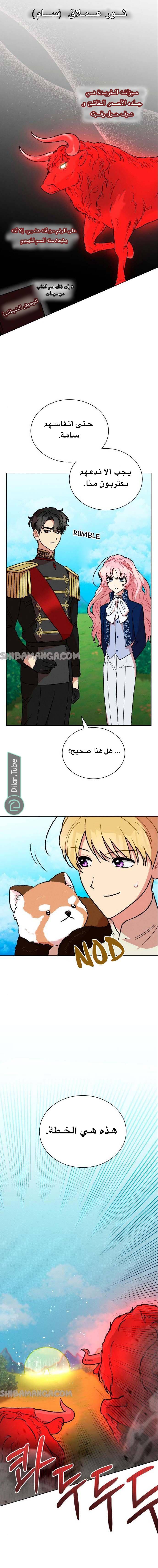 الصفحة 5