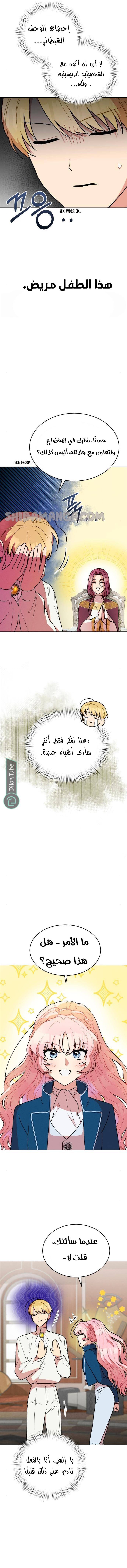 الصفحة 7