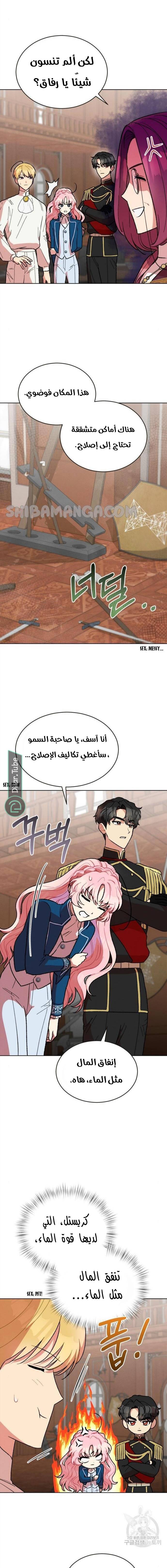 الصفحة 8