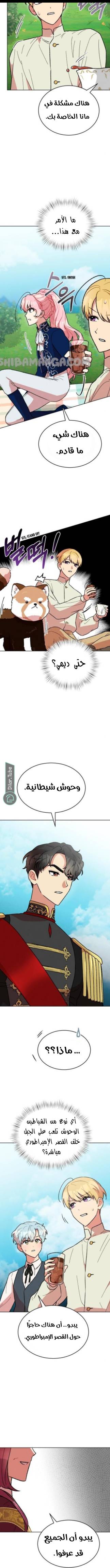 الصفحة 13