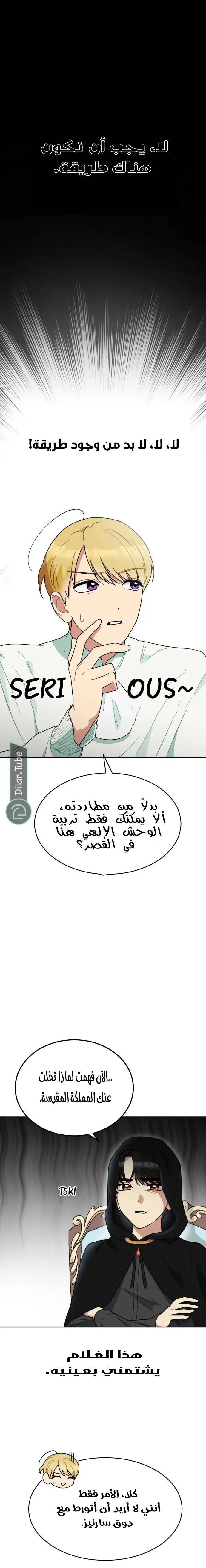 الصفحة 11