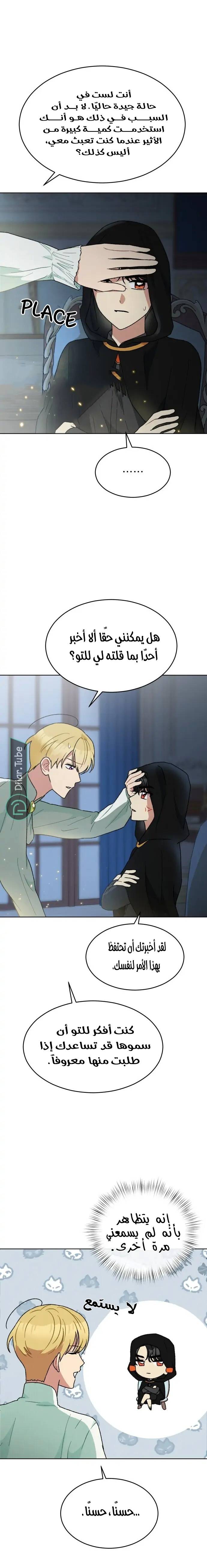 الصفحة 13