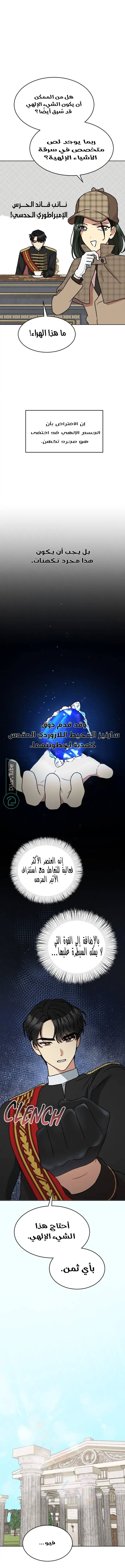 الصفحة 17