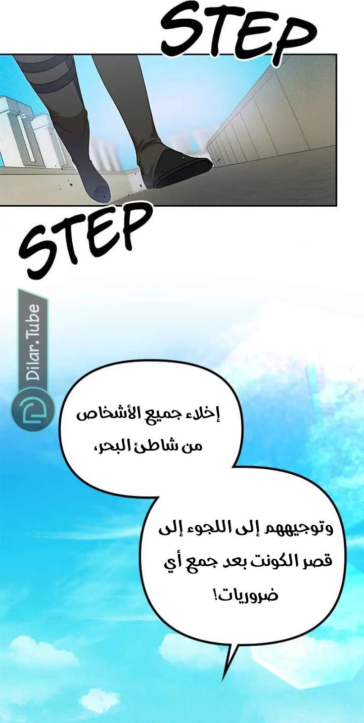 الصفحة 19