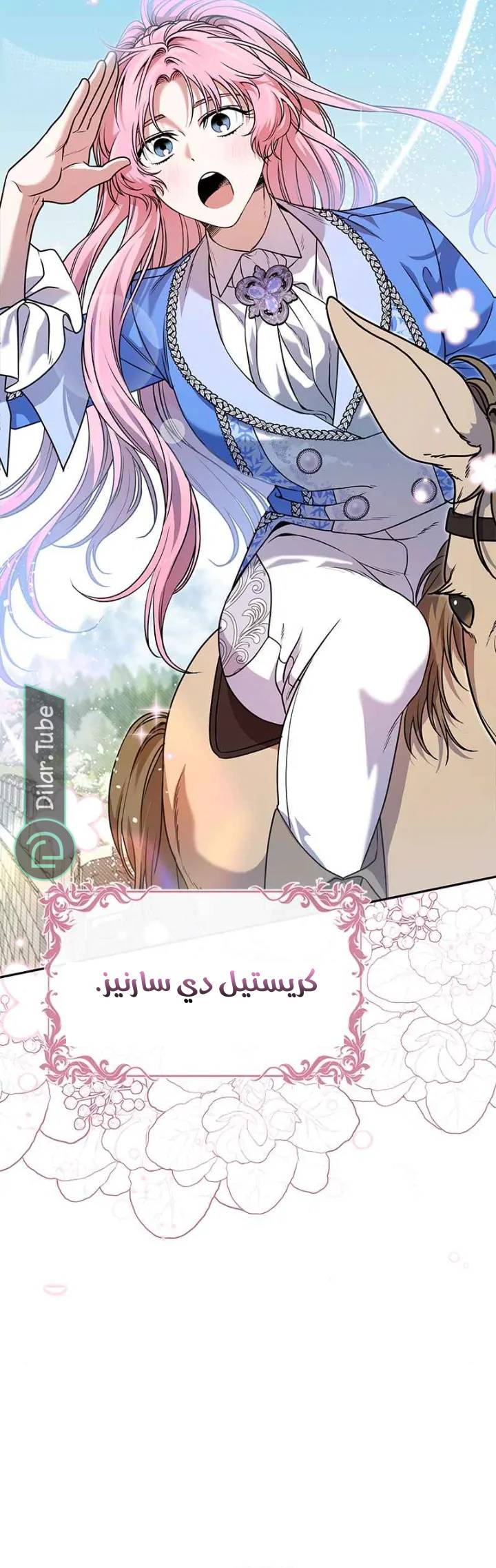 الصفحة 22