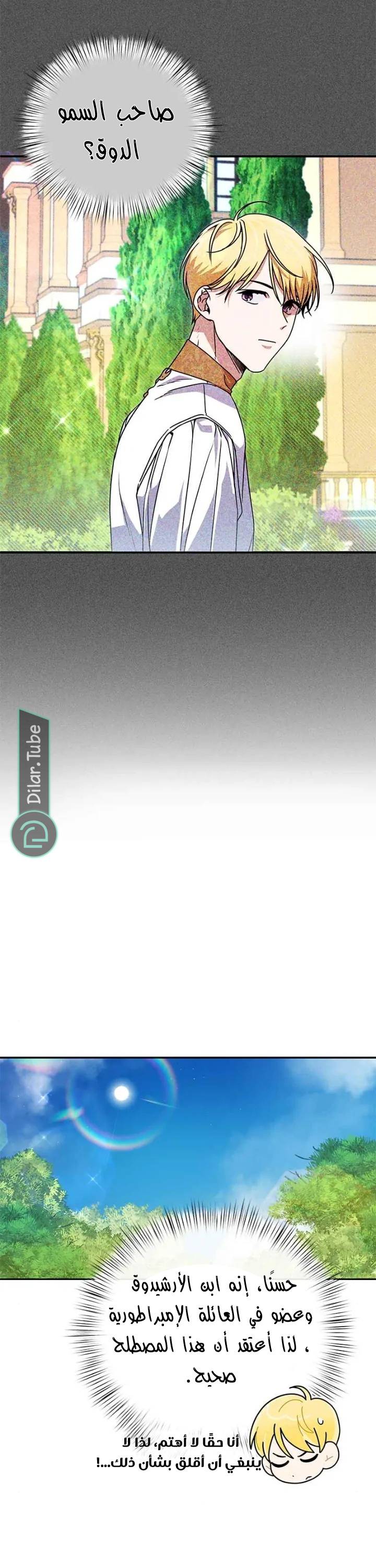 الصفحة 34