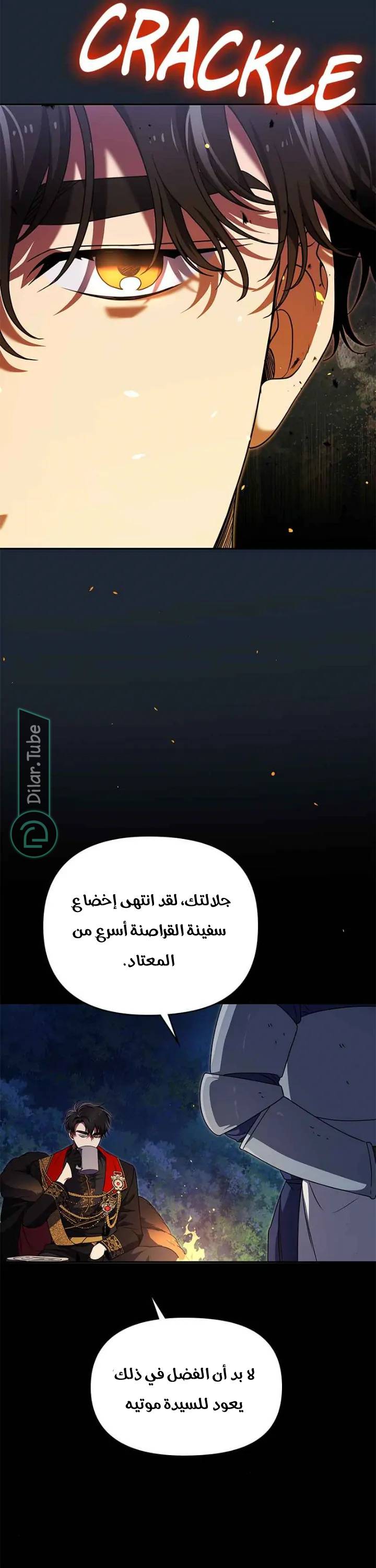 الصفحة 60