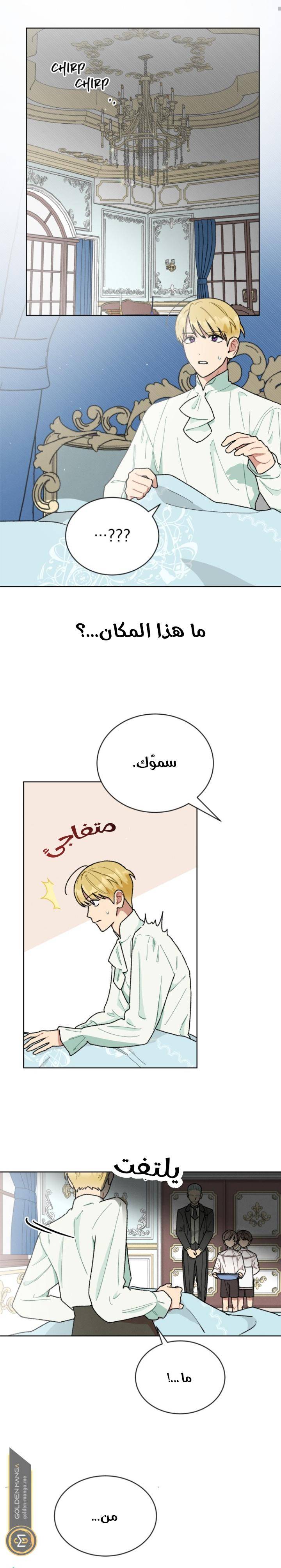 الصفحة 5