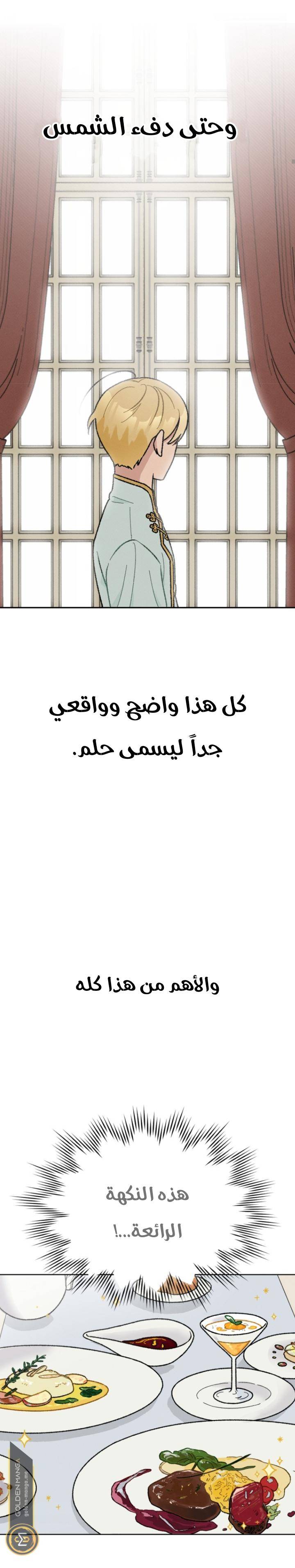 الصفحة 17