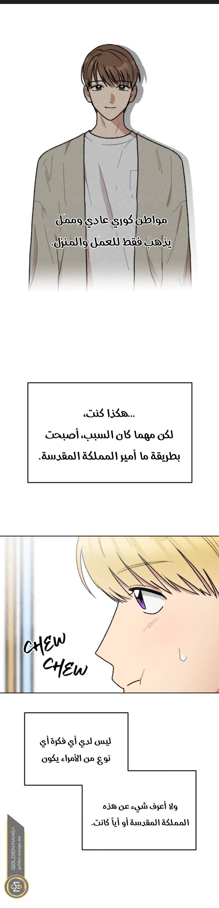 الصفحة 20