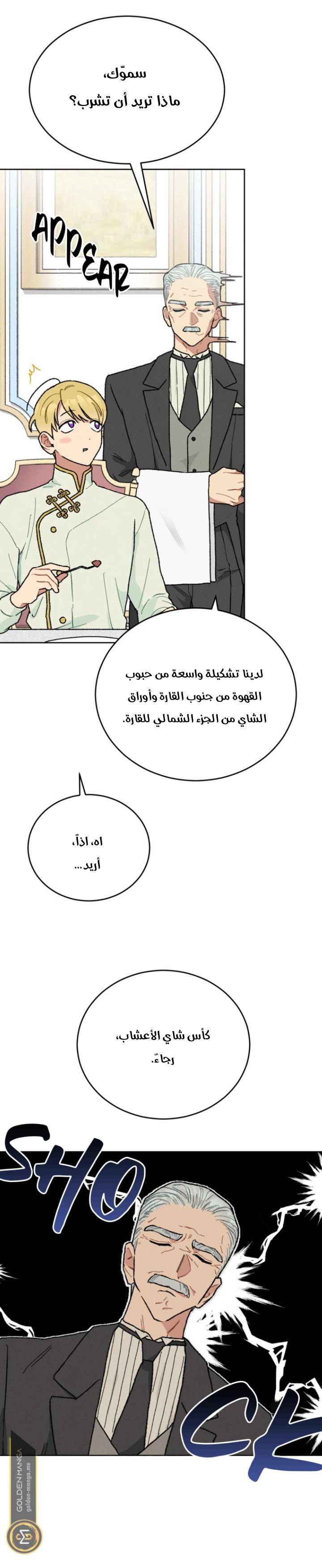 الصفحة 21