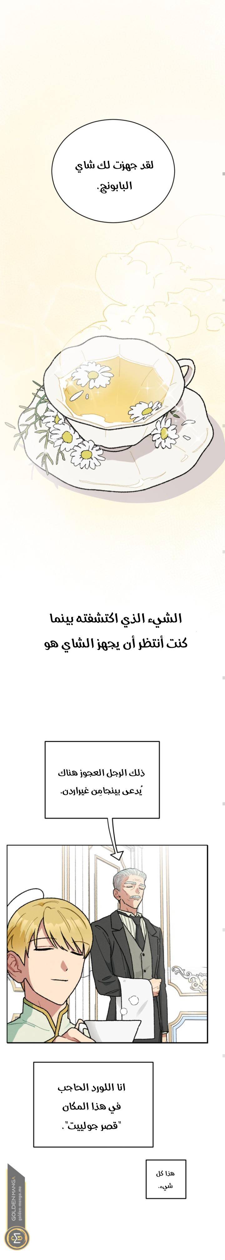 الصفحة 23