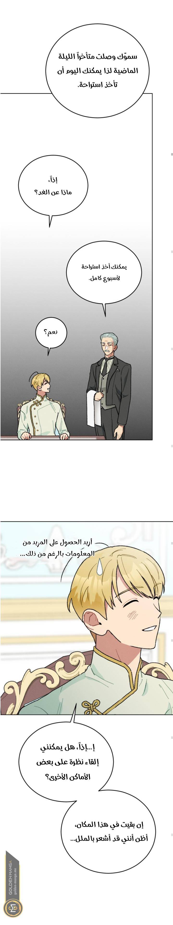 الصفحة 26