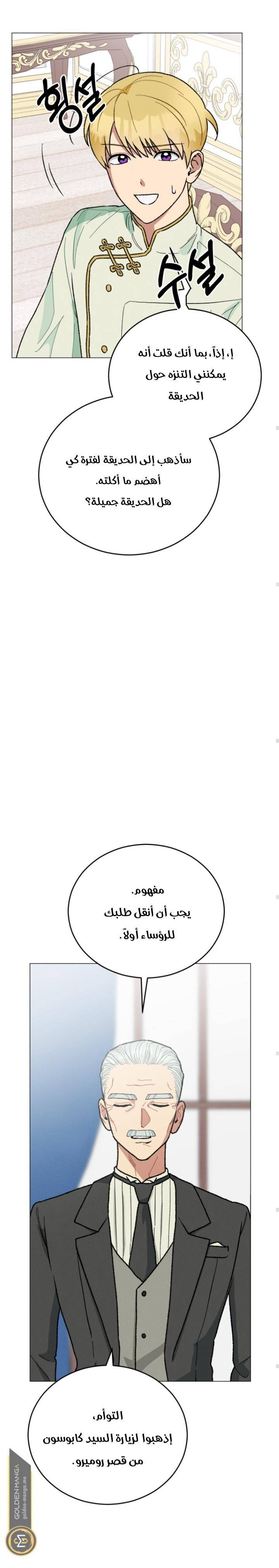 الصفحة 28
