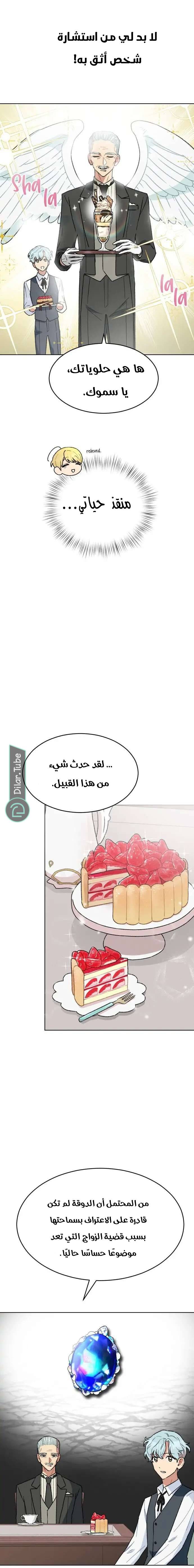 الصفحة 12