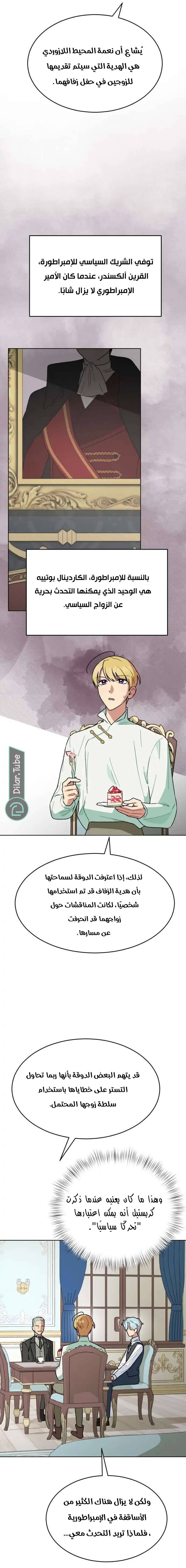 الصفحة 13