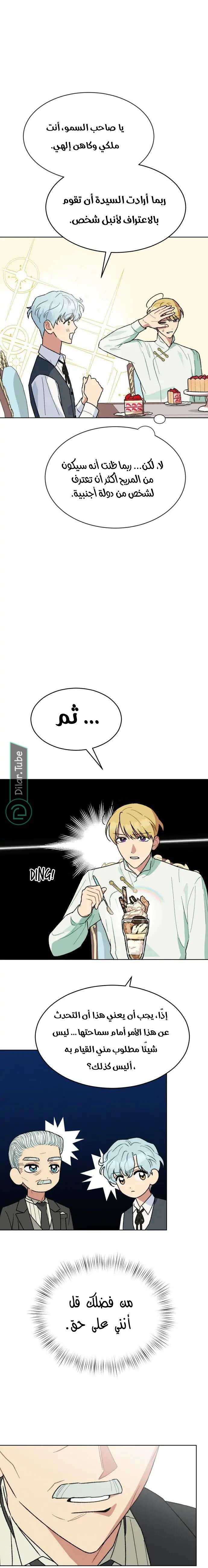 الصفحة 14