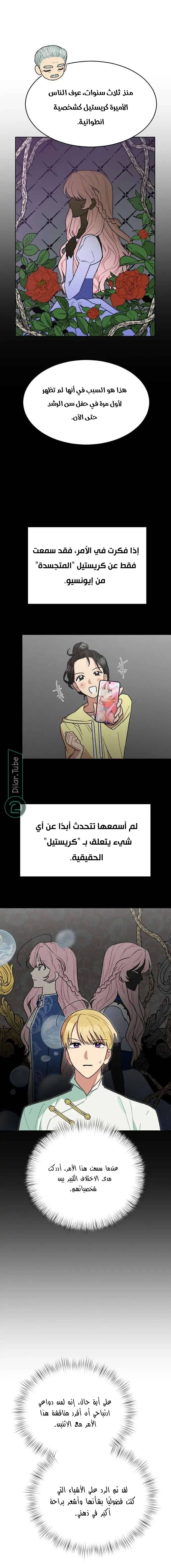 الصفحة 17