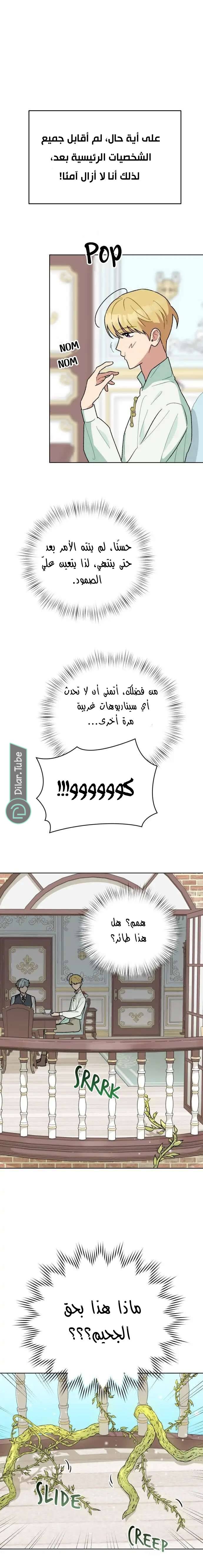 الصفحة 20