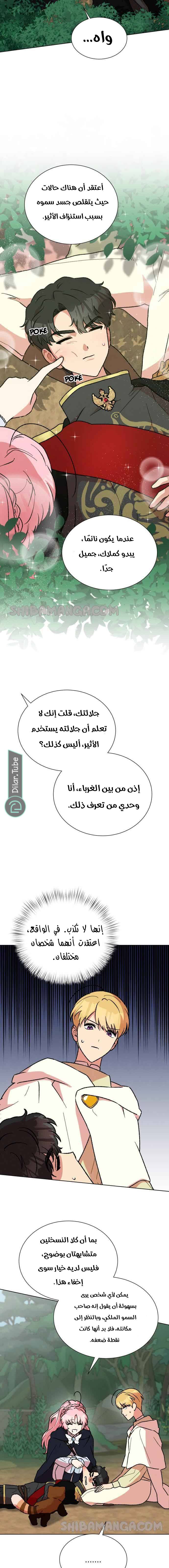 الصفحة 5