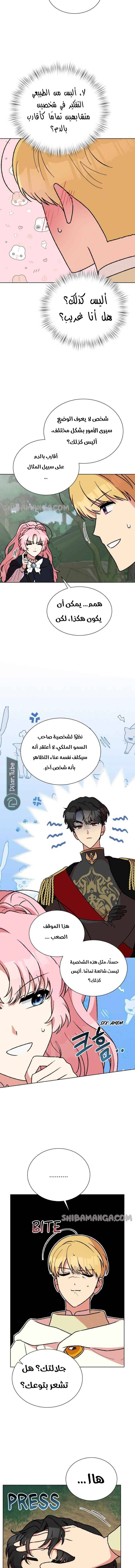 الصفحة 6
