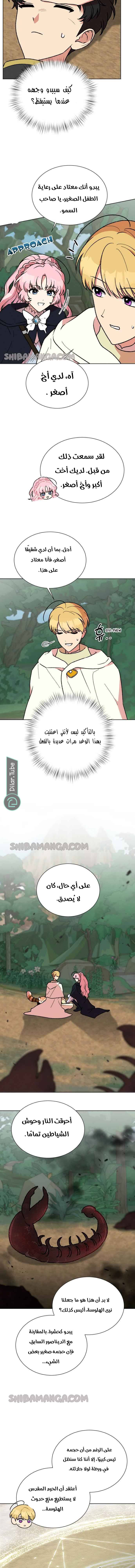 الصفحة 7