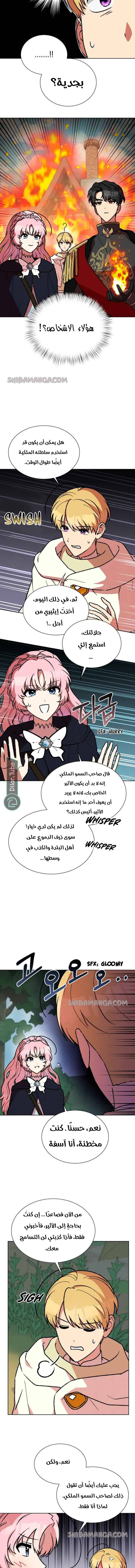 الصفحة 11