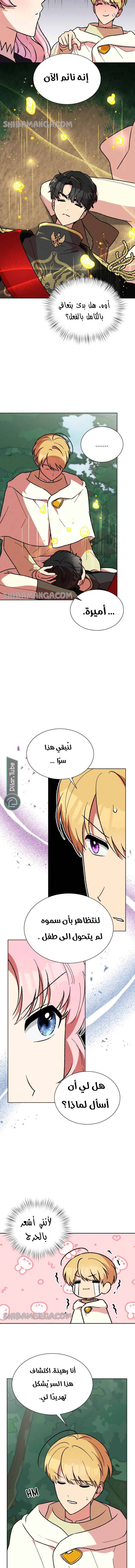 الصفحة 12