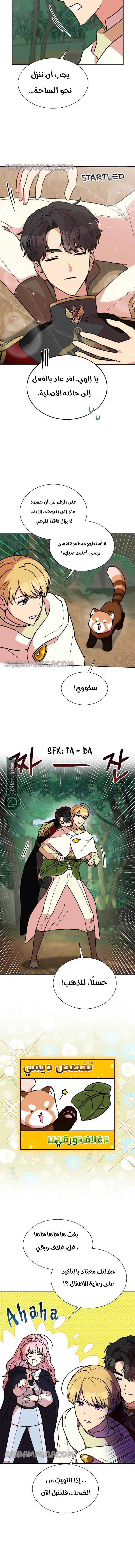 الصفحة 14