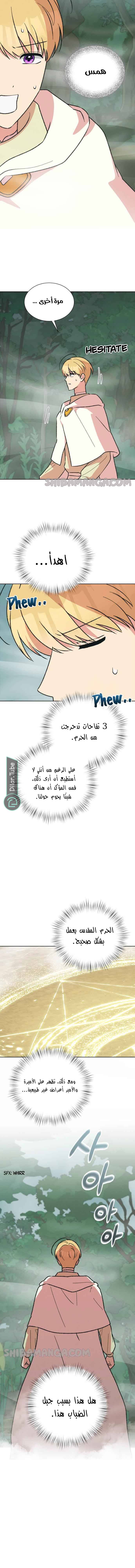 الصفحة 11