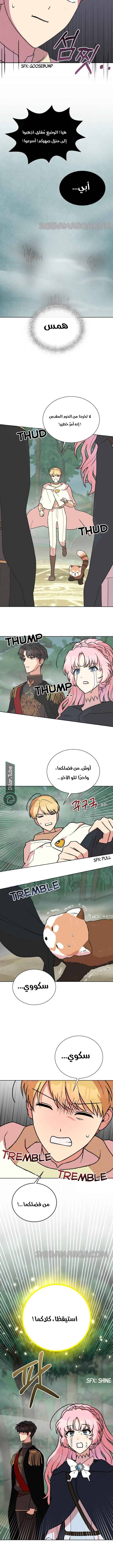 الصفحة 14
