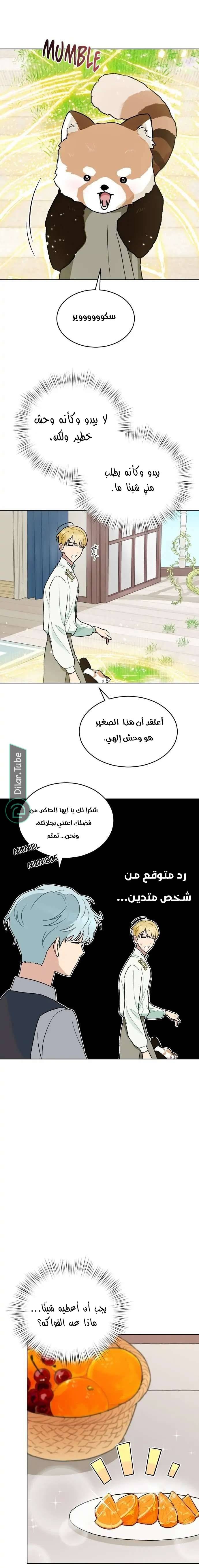 الصفحة 11