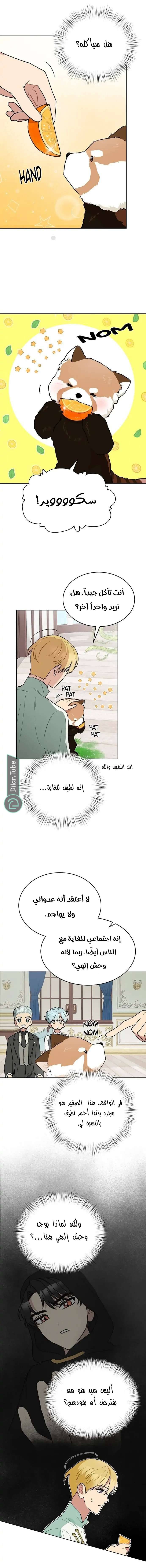 الصفحة 12