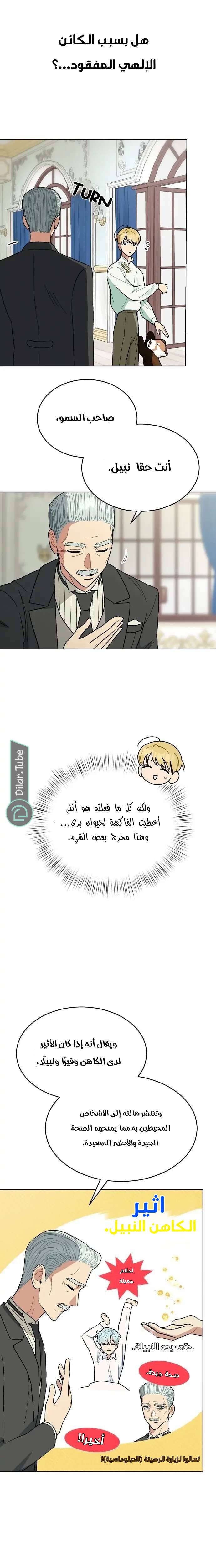 الصفحة 13